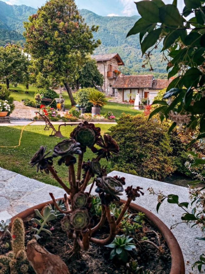 Villa La Roggia - Molino Maufet Mühle - Patio on the garden Colico Exterior foto